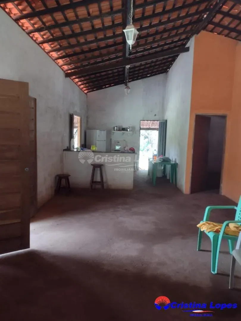 Fazenda, 4000 m² - Foto 2