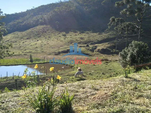 Sítio com 61m² 6 quartos e 4 banheiros, à venda, no bairro DIVISA PASSA VINTE /LIBERDADE em Passa Vinte