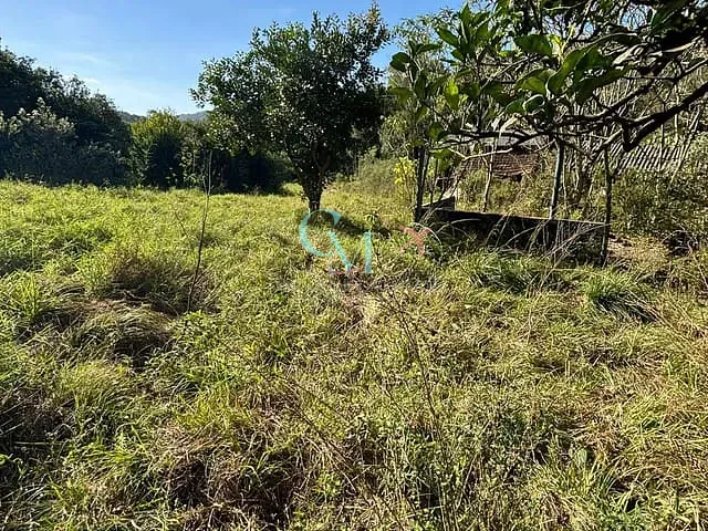 Sítio com 96800m², à venda, no bairro interior em Faxinal dos Guedes