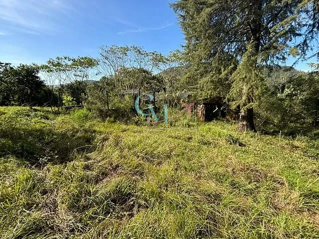 Sítio com 96800m², à venda, no bairro interior em Faxinal dos Guedes