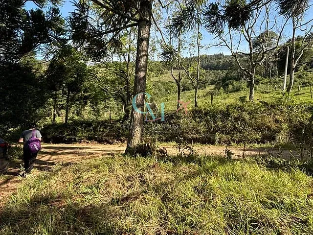 Sítio com 96800m², à venda, no bairro interior em Faxinal dos Guedes