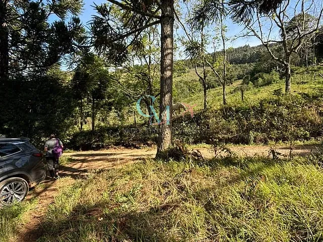 Sítio com 96800m², à venda, no bairro interior em Faxinal dos Guedes