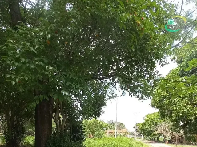 Sítio com 48000m², à venda, no bairro Chácara Bela Vista em Sumaré