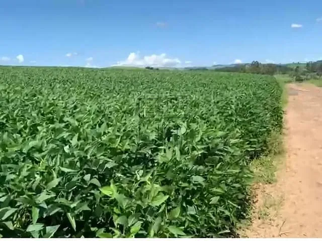 Sítio com 934120m², à venda, no bairro Centro em Rosário do Ivaí