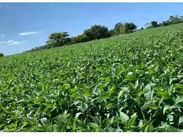 Sítio com 934120m², à venda, no bairro Centro em Rosário do Ivaí