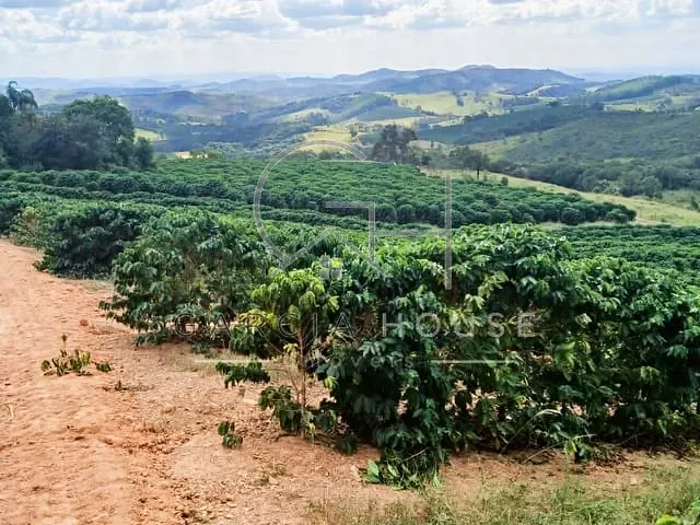 Sítio com 376000m², à venda, no bairro Zona Rural em Capitólio
