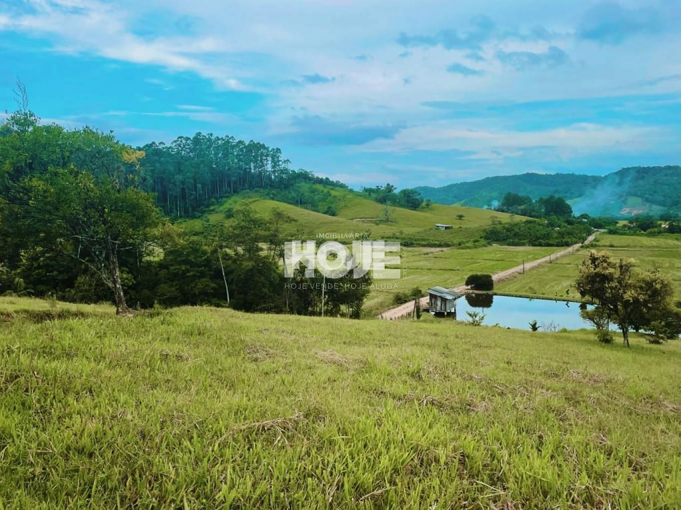 Sítio a Venda na Divisa Indaial e Rodeio com mais de 35.000 m - foto 1