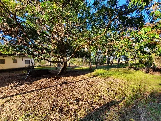Sítio com 20000m², à venda, no bairro Tanquinho Velho em Jaguariúna