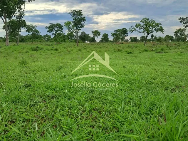 Sítio com 250000m² 2 quartos e 1 banheiro, à venda, no bairro Centro-Norte em Cuiabá