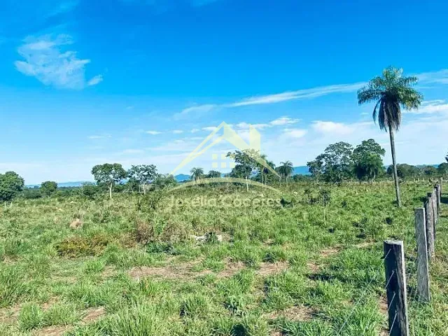 Sítio com 250000m² 2 quartos e 1 banheiro, à venda, no bairro Centro-Norte em Cuiabá
