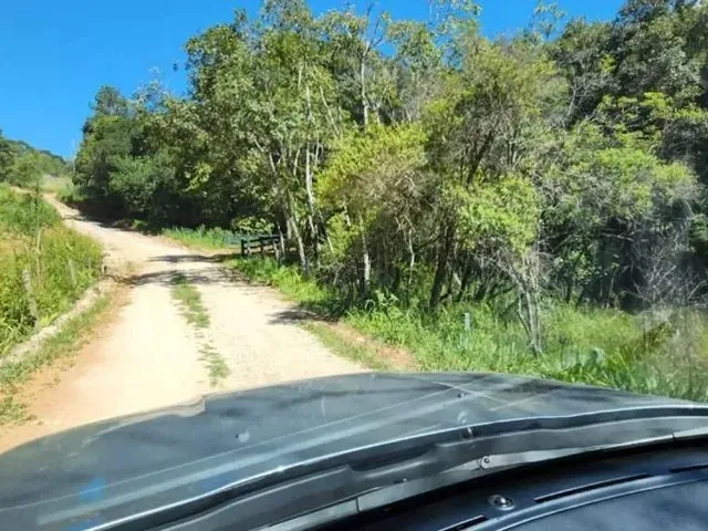 Sítio à venda, no bairro Área Rural de Campo Largo em Campo Largo