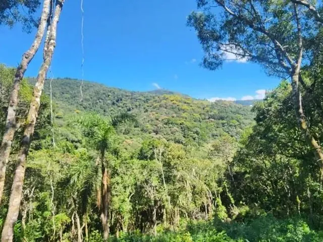 Sítio à venda, no bairro Área Rural de Campo Largo em Campo Largo