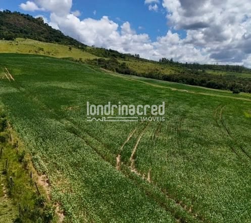 Fazenda, 17 hectares - Foto 1