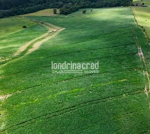 Fazenda, 17 hectares - Foto 2