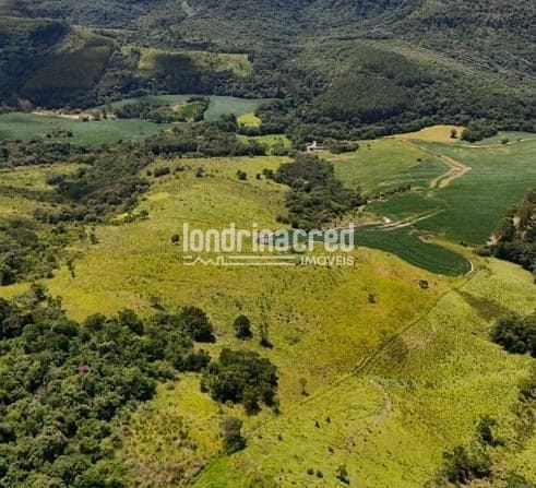 Fazenda, 17 hectares - Foto 3