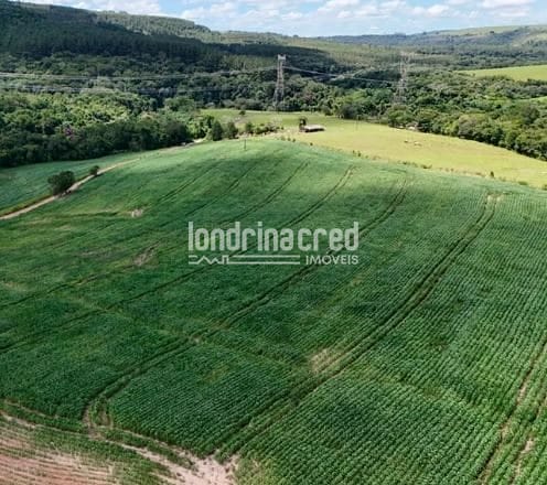 Fazenda, 17 hectares - Foto 4
