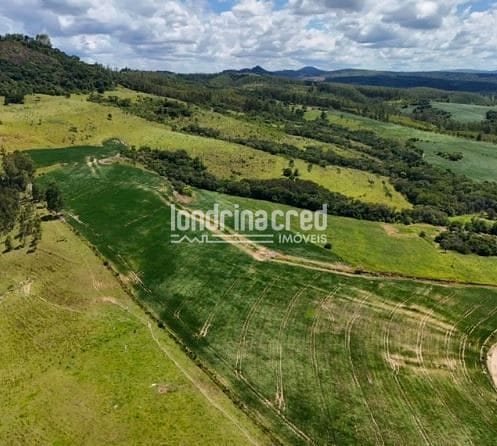 Fazenda, 17 hectares - Foto 5