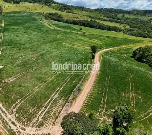 Fazenda, 17 hectares - Foto 6