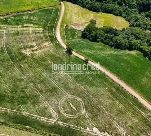 Fazenda, 17 hectares - Foto 7