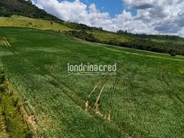 Sítio com 169400m², à venda, no bairro RURAL em Arapoti