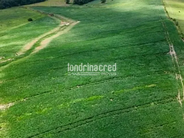 Sítio com 169400m², à venda, no bairro RURAL em Arapoti