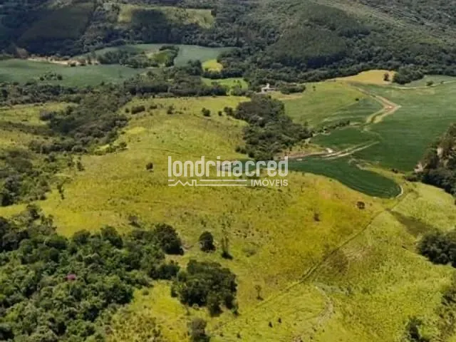 Sítio com 169400m², à venda, no bairro RURAL em Arapoti