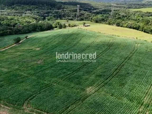 Sítio com 169400m², à venda, no bairro RURAL em Arapoti