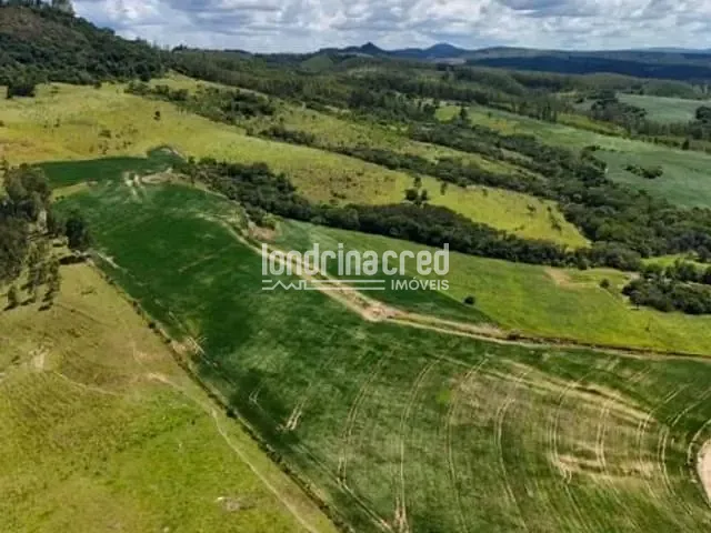 Sítio com 169400m², à venda, no bairro RURAL em Arapoti