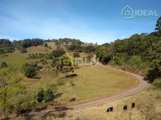 Sítio 3 quartos e 1 banheiro, à venda, no bairro São José em Concórdia