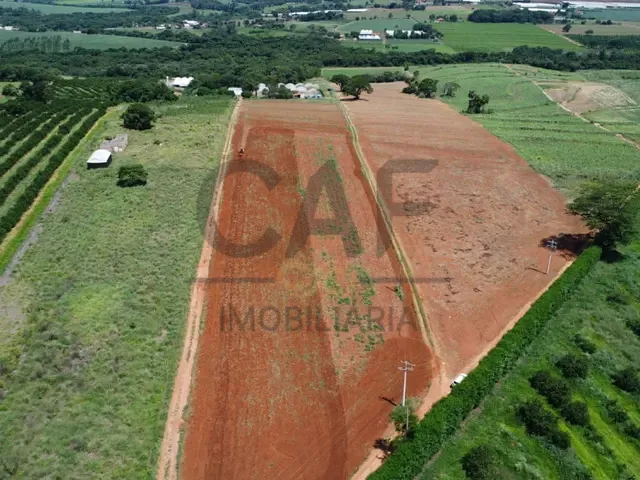 Sítio com 75000m², à venda, no bairro Palmeirinha em Holambra