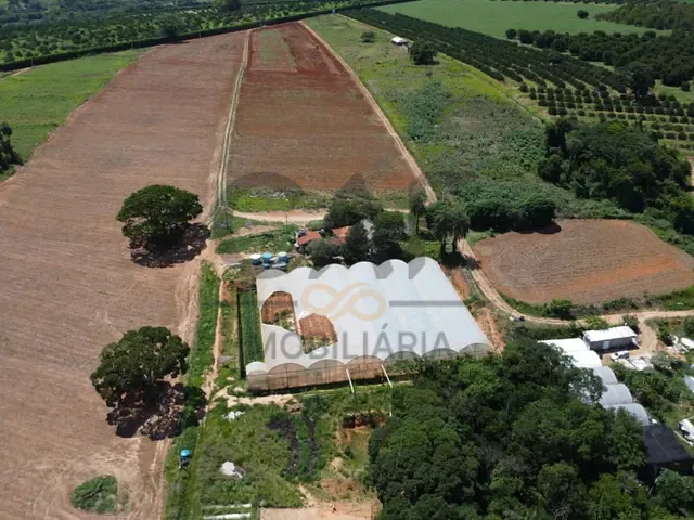 Sítio com 75000m², à venda, no bairro Palmeirinha em Holambra