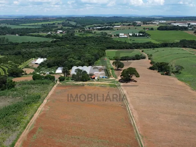 Sítio com 75000m², à venda, no bairro Palmeirinha em Holambra