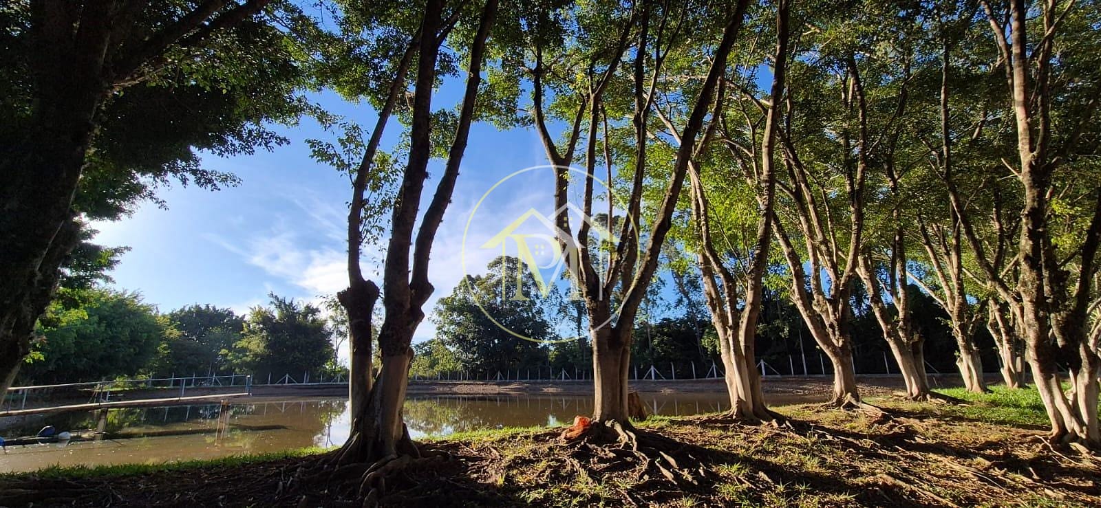 Sítio, 4 quartos, 17 hectares - Foto 16