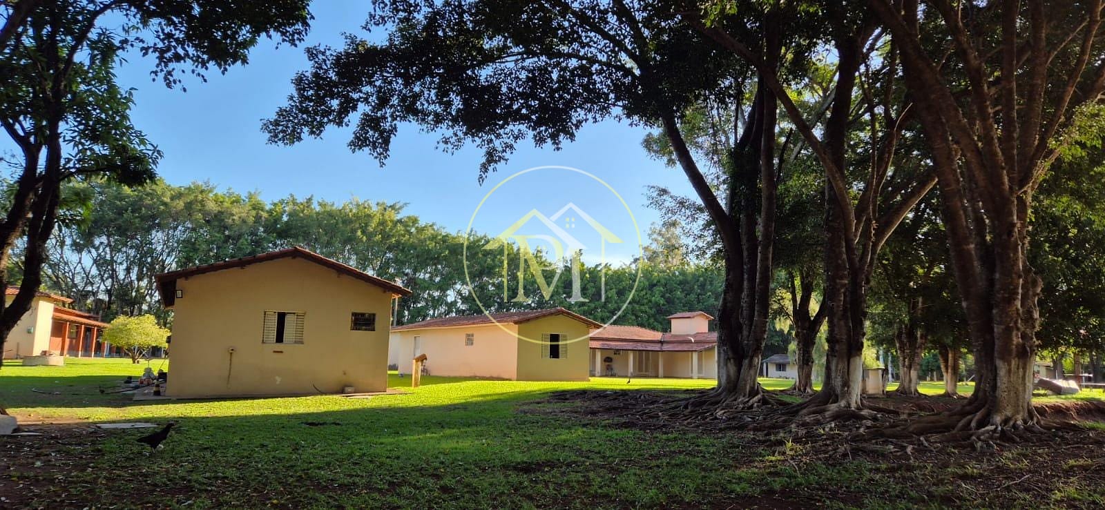 Sítio, 4 quartos, 17 hectares - Foto 18