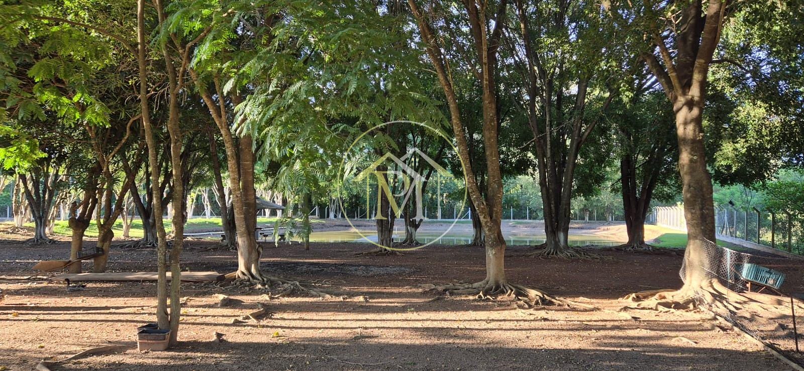 Sítio, 4 quartos, 17 hectares - Foto 21