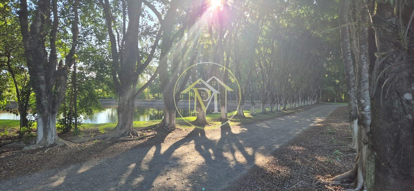 Sítio, 4 quartos, 17 hectares - Foto 28