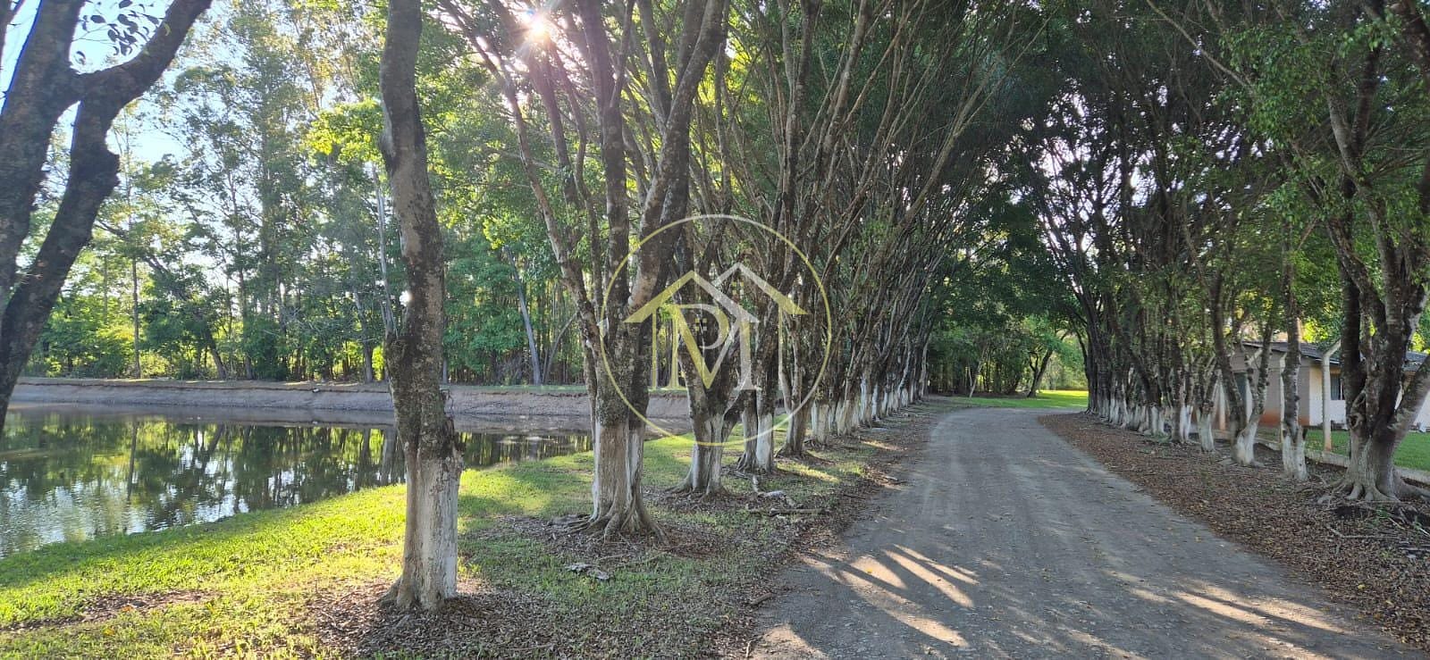 Sítio, 4 quartos, 17 hectares - Foto 30