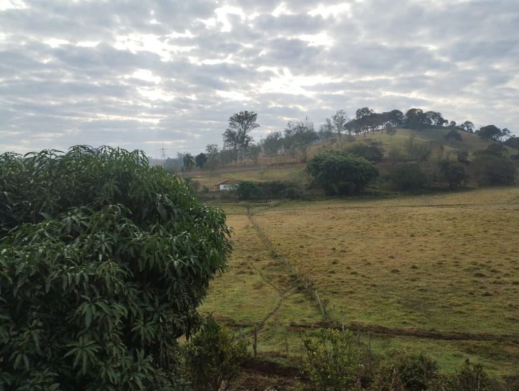 Rural / Chácara no Teodoros — foto 6