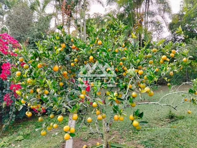 Terreno com 6160m² 5 quartos e 4 banheiros, à venda, no bairro Área Rural de Paraibuna em Paraibuna