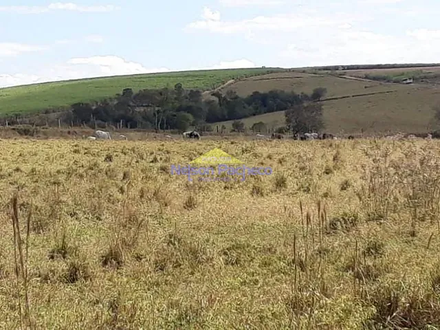 Sítio com 127200m², à venda, no bairro Chácara Santo Antonio em Capivari