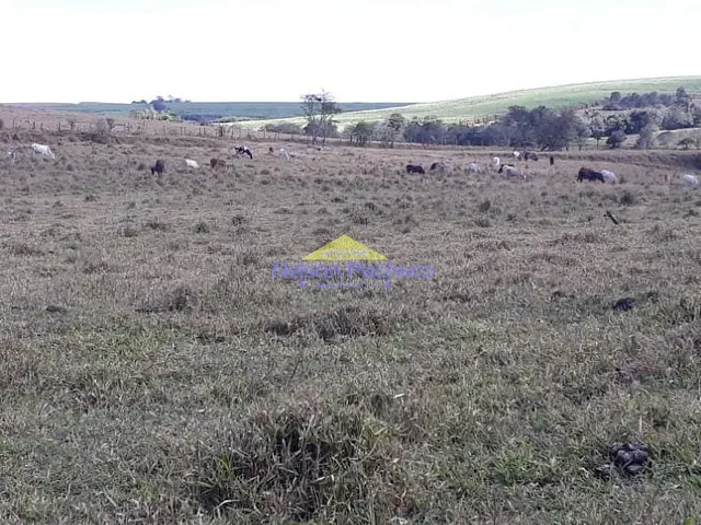 Sítio com 127200m², à venda, no bairro Chácara Santo Antonio em Capivari