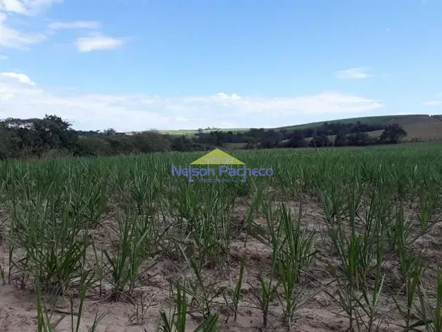 Sítio com 127200m², à venda, no bairro Chácara Santo Antonio em Capivari