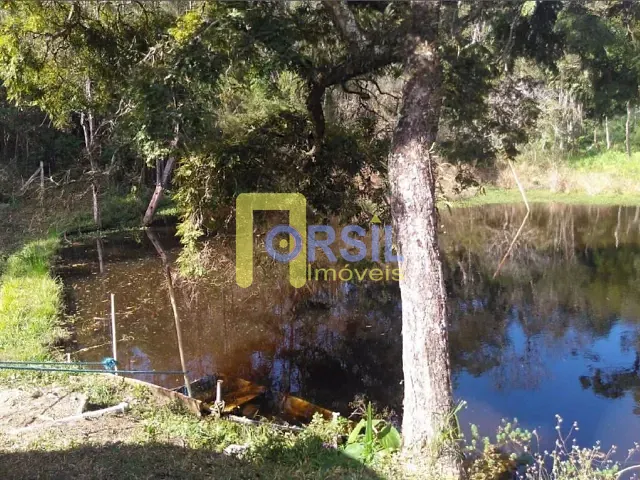 Sítio com 41954m² 2 quartos e 2 banheiros, à venda, no bairro Cachoeirinha em Bom Jesus dos Perdões