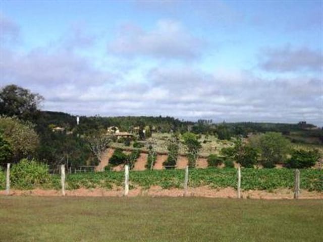 Foto do Sítio - Pilar do Sul - lindo sítio com 11 alqueires | Ary Proenca Negócios Imobiliários Ltda