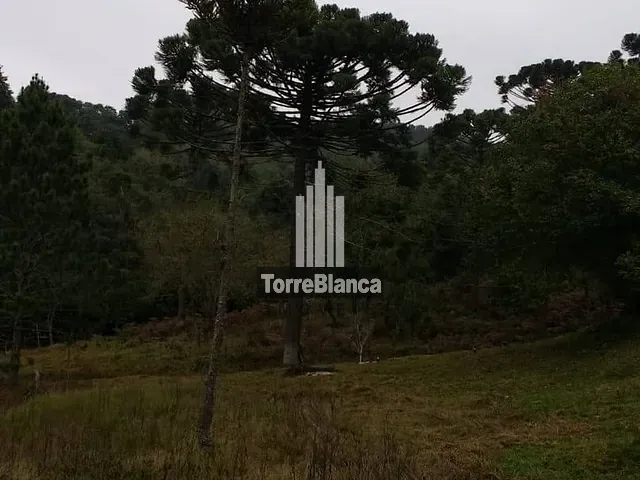 Sítio com 85000m² 2 quartos e 1 banheiro, à venda, no bairro Cerradinho em Itaiacoca