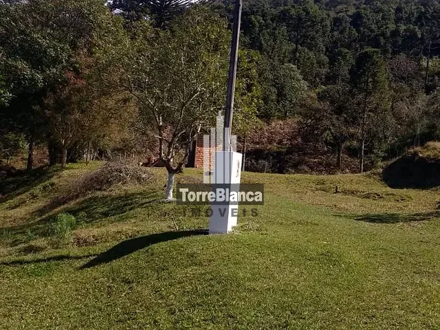 Sítio com 85000m² 2 quartos e 1 banheiro, à venda, no bairro Cerradinho em Itaiacoca