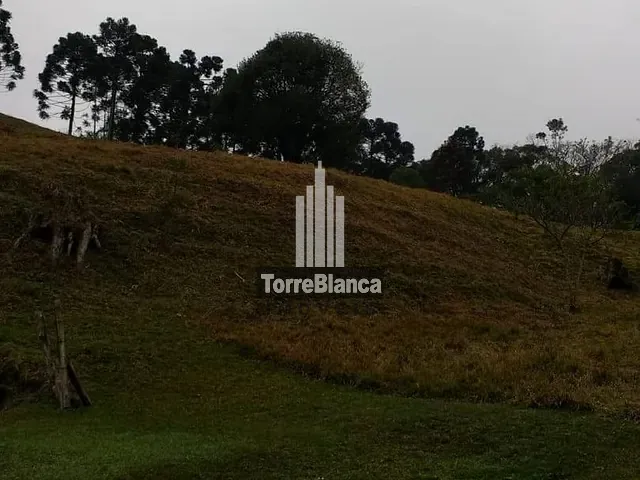 Sítio com 85000m² 2 quartos e 1 banheiro, à venda, no bairro Cerradinho em Itaiacoca