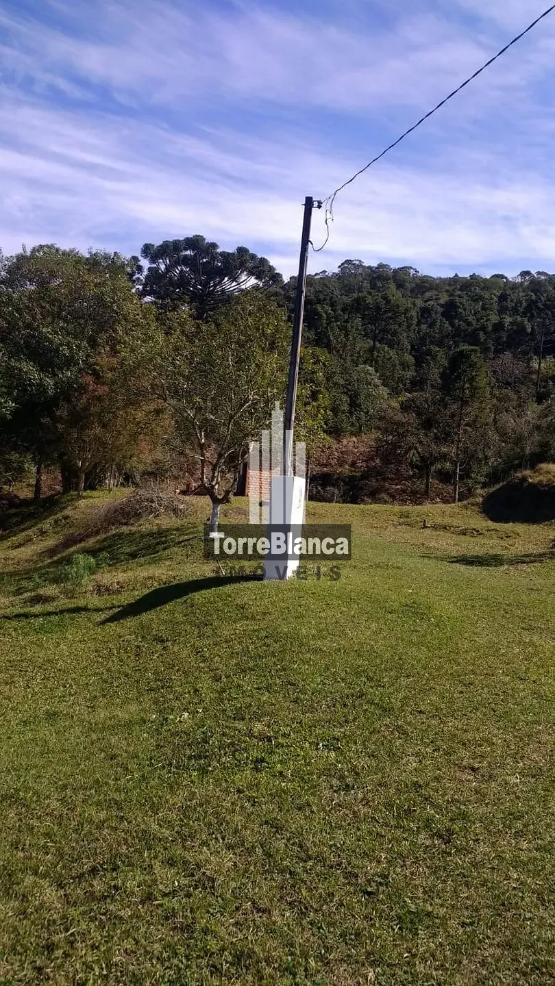 Sítio, 2 quartos, 9 hectares - Foto 4