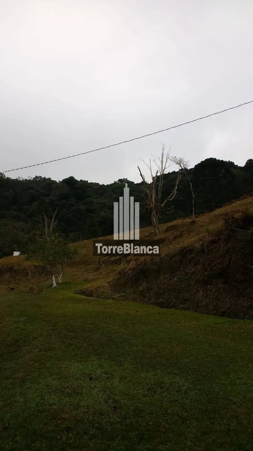 Sítio, 2 quartos, 9 hectares - Foto 1