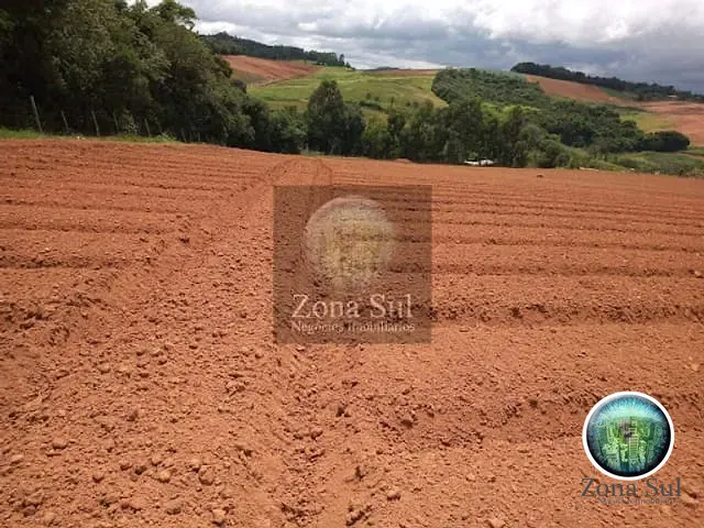 Sítio com 19000m², à venda, no bairro Bairro Limal em Piedade